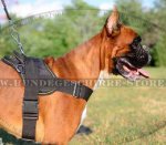 Hundegeschirr Nylon für Boxer | Deutscher Boxer Sattelgeschirr