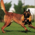 Apportierholz für Hunde mit nicht abnehmbaren Scheiben, bequem_1