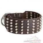 Hundehalsband aus Leder breit mit zahlreichen Pyramiden, solid