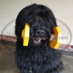 Apportierholz für Hunde mit nicht abnehmbaren Scheiben, bequem_2