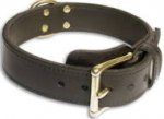 Lederhalsband für Hunde | Halsband für Training & Erziehung