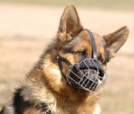 Draht Maulkorb für Deutschen Schäferhund, leicht und bequem