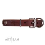 Hundehalsband aus Leder für Alltag im Baroque Design_2