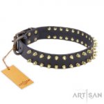 Extraordinary Leather Dog Collar 3 cm_0