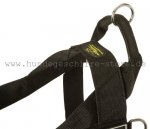 Nylongeschirr multifunktional für Deutsche Dogge_3