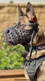 Geschlossener Ledermaulkorb mit Stacheldraht Bemalung für Malinois_4