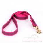rosa Hundeleine aus Nylon, pink_1