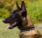 Nylon Hundehalsband für Malinois Superhaltbarkeit ℕ