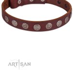 Hundehalsband aus Leder für Alltag im Baroque Design_3