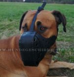 Leather Dog Muzzle with Strengthening for boerboel mastiff_0