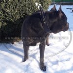 Halsband Leder mit Handschlaufe | Lederhalsband für Training_2