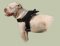 American Bulldog K9-Hundegeschirr aus Nylon H6