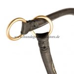 Riesenschnauzer Erziehungshalsband aus rundem Leder_2