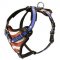 Hundegeschirr aus Leder mit Bemalung "American Pride"