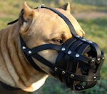 Amstaff Everyday Light Weight Ventilation Dog muzzle, Bestseller_1