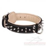Nappa Gepolstert Lederhalsband mit Vernickelten Spikes