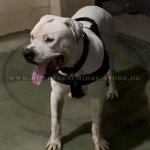 Hundegeschirr Nylon K9 mit Logos für Amerikanische Bulldogge_3