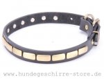 Originelles Lederhalsband mit Messing Platten für Bulldogge_3