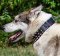 Hundehalsbänder Exklusiv aus Leder für Westsibirische Laika