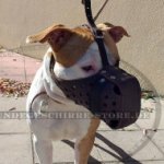 Beißkorb aus Leder für Amerikanischen Pitbull_0