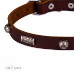 Schickes Hundehalsband \"Barock\" mit gravierten Kugeln und Platten_4