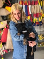 Praktisches Nylon Geschirr für Welpen | Welpen Sattelgeschirr_1