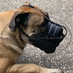 Ledermaulkorb Netzform für Bullmastiff_3