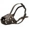Bull Terrier everyday leather dog muzzle