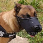 Kombiniertes Maulkorb Leder mit Nylon für Malinois