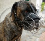 Metall Maulkorb aus Stahldraht für Cane Corso Hund_0