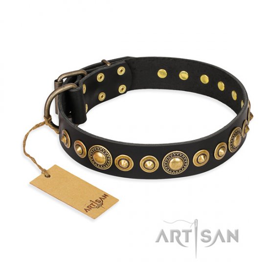 Hundehalsband aus Leder "Gold Mine" FDT Artisan, schwarz
