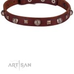 Designhalsband aus Echtleder von FDT Artisan_3