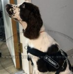 Leichtes Nylon Geschirr mit Logos für Cocker Spaniel_0