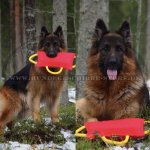 French Linen Beißkissen mit für Welpen und Junge Hunde_1