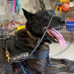 Hundegeschirr Nylon K9 mit Logos für Malinois_2