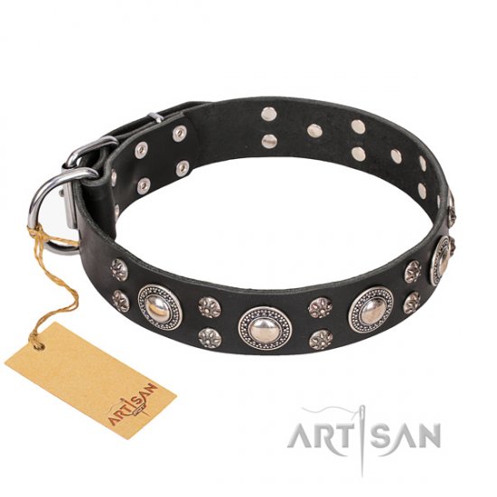 Leder Hundehalsband mit origineller Verzierung, Artisan