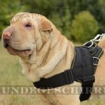 Shar-Pei Geschirr aus Nylon für Auslauf & Hundesport