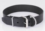 Hundehalsband Leder breit in klassischem Design, praktisch