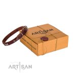 Hundehalsband Leder im einzigartigem Design, 20 mm breit_5