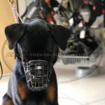 Gummierter Beißkorb aus Draht für Rottweiler_2