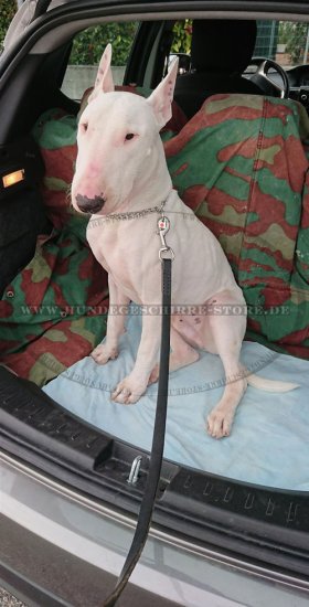 Auslaufleine aus Leder für Bullterrier günstig vom Hersteller