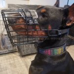 Hundesport Beißkorb aus gummiertem Draht für Dobermann_5