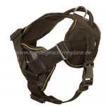 Hundegeschirr aus Nylon für Hundesport mit American Bulldog_2