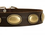 Labrador Lederhalsband im Retro Stil mit Platten Dekor_4