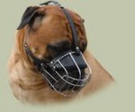Drahtmaulkorb Bullmastiff