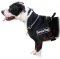 Amstaff dog harness, DE - Better control of your dog