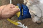 Bite tugs of jute for puppies and small breeds_1