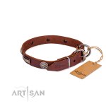 Stabiles Halsband aus Rindleder mit großen Nieten_6