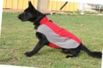 Hundemantel warm für Deutschen Schäferhund, wasserdicht
