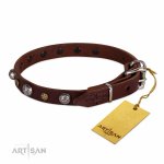 Exklusives Halsband \'Heavy Metal\', Echtleder_8